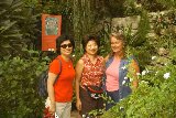 Hsu Whey, Angie, and Connie stopped to have a picture in the butterfly gardens