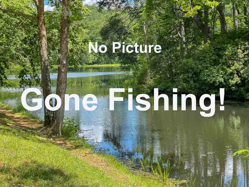 No Picture - Gone Fishing!
