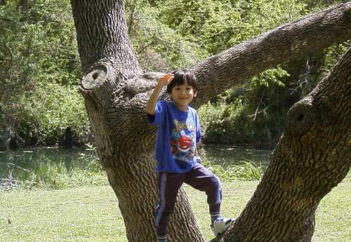 Edward shows off his tree climbing skills