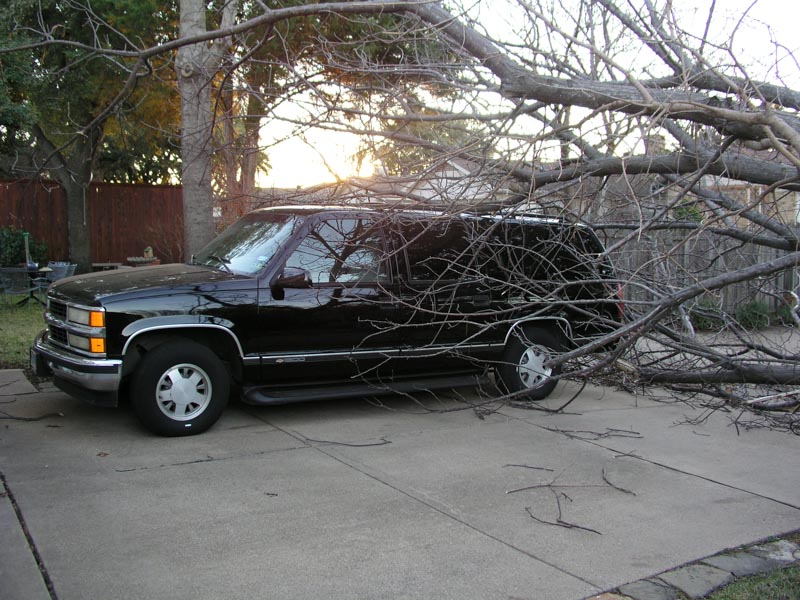 A windstorm blew our neighbor's chinaberry tree onto my suburban!