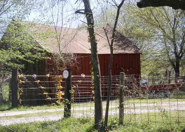 A gate full of yellow ribbons